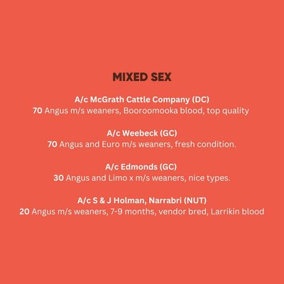 TRLX Store Cattle sale 5.jpg