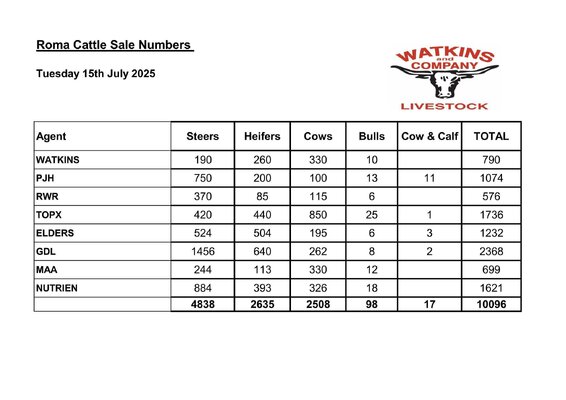 Roma Cattle Sale 3.jpg