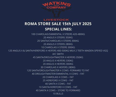 Roma Cattle Sale 2.jpg