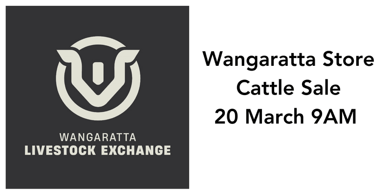 Wangaratta Store Cattle Sale.png