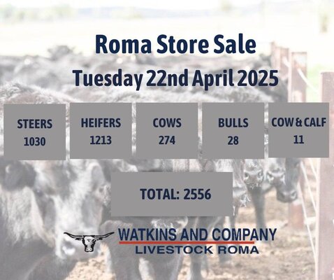 Roma Store Sale 2.jpg Roma Store Sale 2.jpg