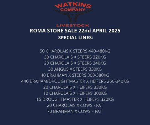 Roma Store Sale 3.jpg Roma Store Sale 3.jpg