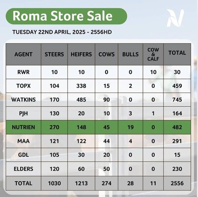 Roma 8.jpg Roma 8.jpg