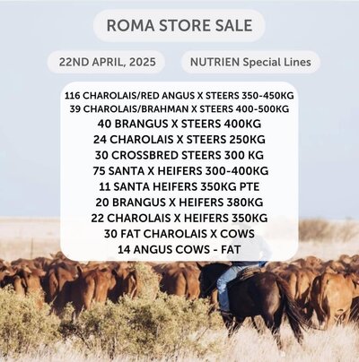 Roma 9.jpg Roma 9.jpg