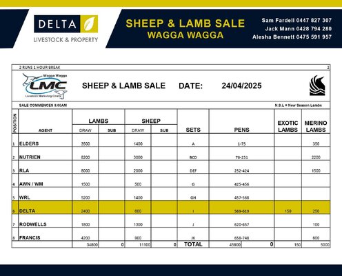 Delta Wagga Sheep.jpg Delta Wagga Sheep.jpg