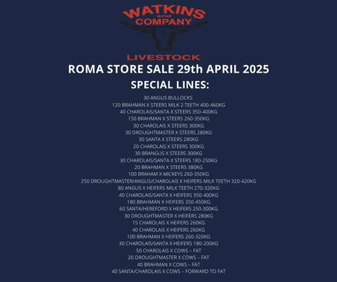 Roma Store Sale 2.jpg Roma Store Sale 2.jpg