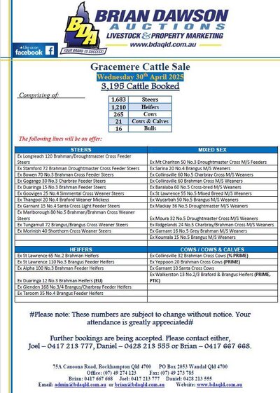 Gracemere Cattle sale.jpg Gracemere Cattle sale.jpg