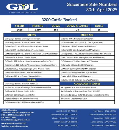 Gracemere Cattle sale 3.jpg Gracemere Cattle sale 3.jpg