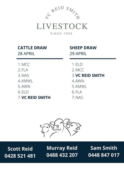 Forbes Sheep Sale 2.jpg Forbes Sheep Sale 2.jpg