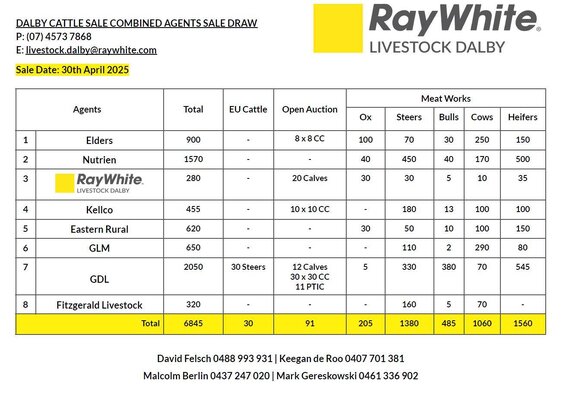 Dalby Cattle Sale 1.jpg