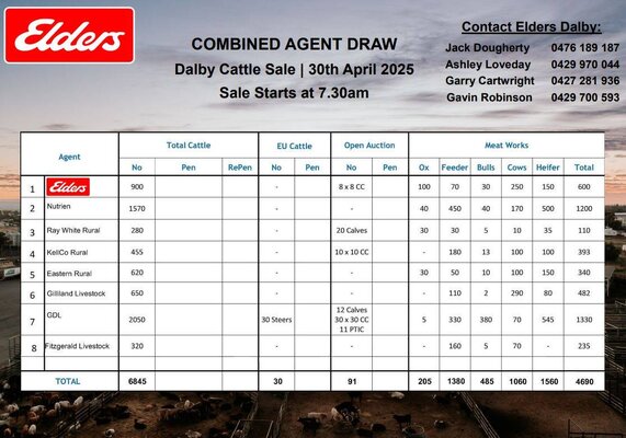 Dalby Cattle Sale 4.jpg