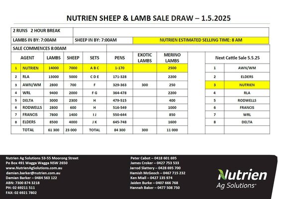 Wagga Sheep & Lamb Sale 4.jpg Wagga Sheep & Lamb Sale 4.jpg