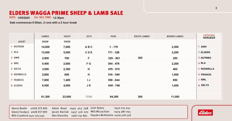 Wagga Sheep & Lamb Sale 3.jpg Wagga Sheep & Lamb Sale 3.jpg