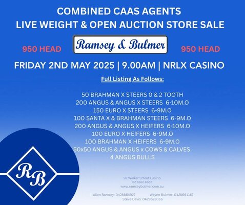 Casino Combined Agents Cattle Sale 3.jpg