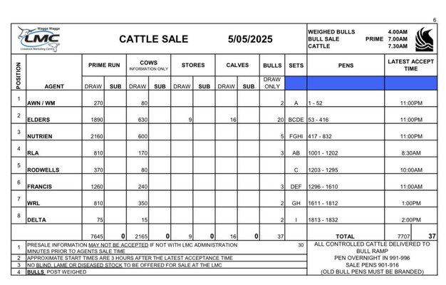 Wagga Cattle Sale Main.jpg Wagga Cattle Sale Main.jpg
