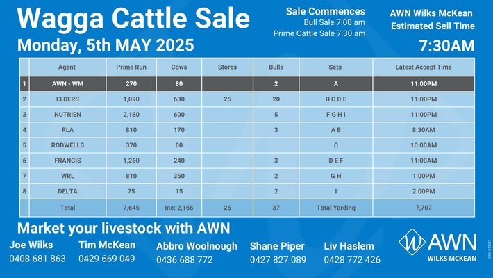 Wagga Cattle Sale.jpg Wagga Cattle Sale.jpg