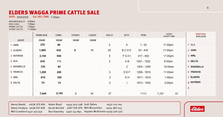 Wagga Cattle Sale 2.jpg Wagga Cattle Sale 2.jpg