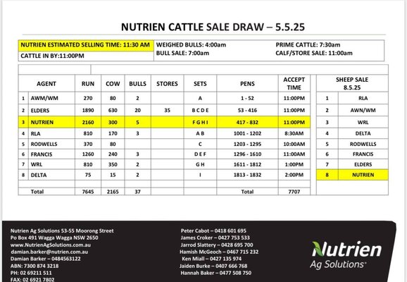 Wagga Cattle Sale 4.jpg Wagga Cattle Sale 4.jpg