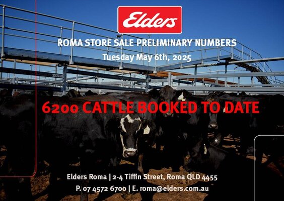 Roma Store Sale.jpg Roma Store Sale.jpg