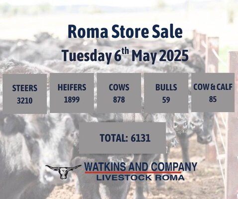 Roma Updated .jpg
