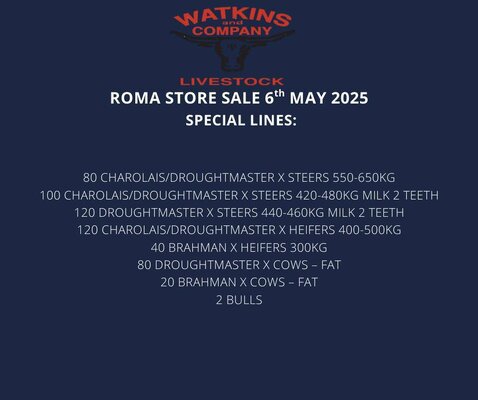 Roma Updated 2.jpg