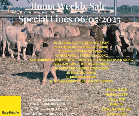 Roma Updated 5.jpg