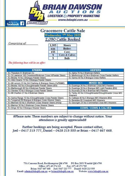 Gracemere Cattle Sale.jpg Gracemere Cattle Sale.jpg