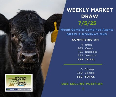 Mt Gambier Sale 3.jpg Mt Gambier Sale 3.jpg