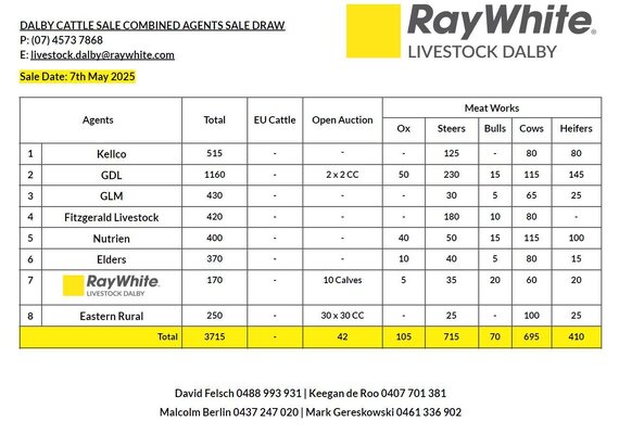Dalby Cattle Sale .jpg Dalby Cattle Sale .jpg