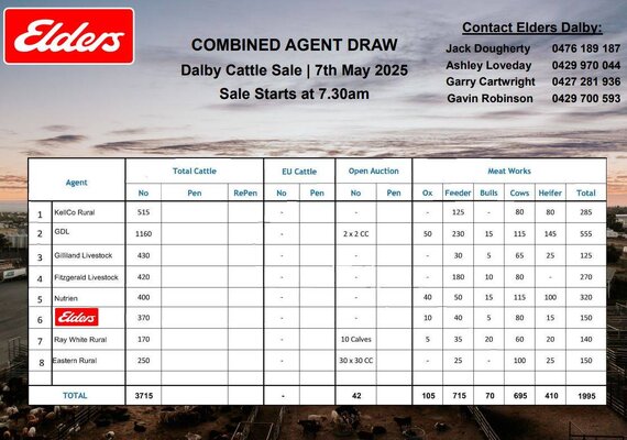 Dalby Cattle Sale 3.jpg Dalby Cattle Sale 3.jpg