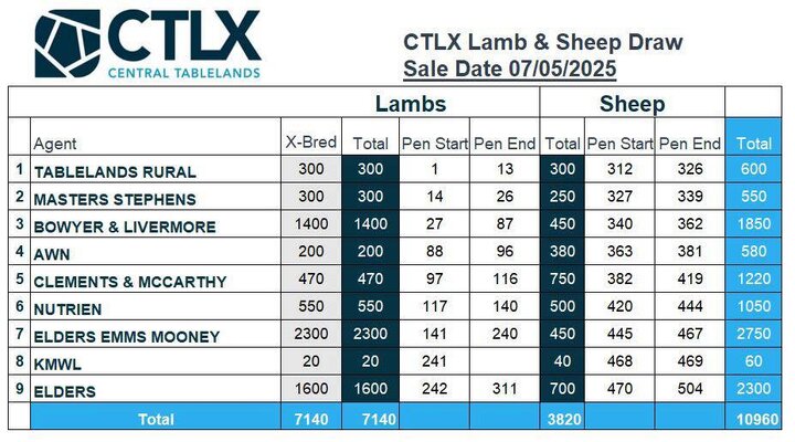 CTLX Lamb and Sheep Sale 2.jpg CTLX Lamb and Sheep Sale 2.jpg
