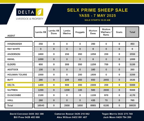 SELX Yass Lamb and Sheep Sale 2.jpg SELX Yass Lamb and Sheep Sale 2.jpg