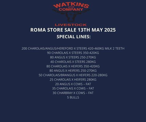Roma Sale 3.jpg Roma Sale 3.jpg