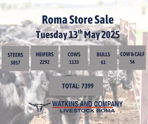 Roma Sale 2.jpg Roma Sale 2.jpg