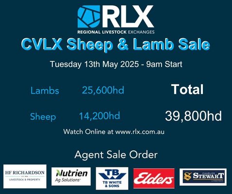 CVLX.jpg