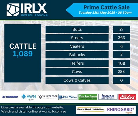 IRLX Prime Cattle.jpg IRLX Prime Cattle.jpg