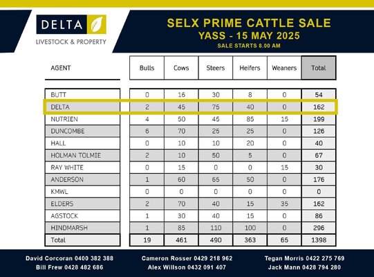 SELX Prime Cattle 2.jpg SELX Prime Cattle 2.jpg