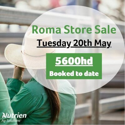 Roma Store Sale 3.jpg Roma Store Sale 3.jpg