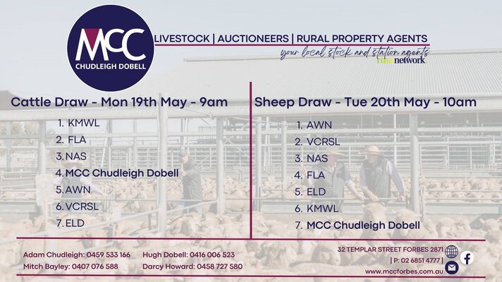 CWLE Forbes Cattle Sale 2.jpg CWLE Forbes Cattle Sale 2.jpg