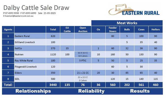 Dalby Cattle Sale- 7-30am 2.jpg
