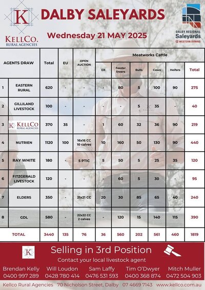 Dalby Cattle Sale- 7-30am 5.jpg