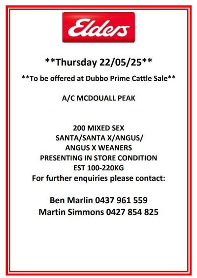 Dubbo Prime Cattle Sale Elders .jpg
