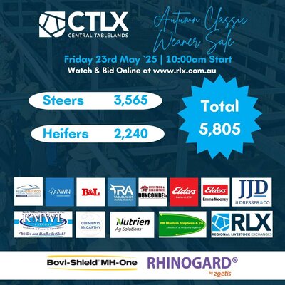 CTLX Carcoar AUTUMN CLASSIC WEANER SALE.jpg CTLX Carcoar AUTUMN CLASSIC WEANER SALE.jpg