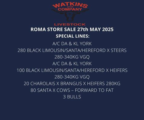 Roma Store Sale 2.jpg