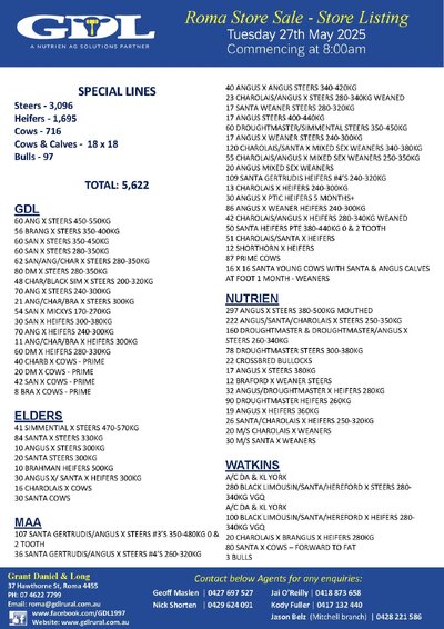 Roma Store Sale 4.jpg