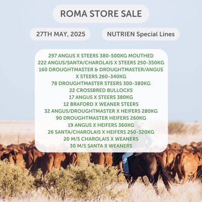 Roma Store Sale 6.jpg