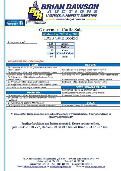 CQLX (Gracemere) Cattle Sale.jpg CQLX (Gracemere) Cattle Sale.jpg