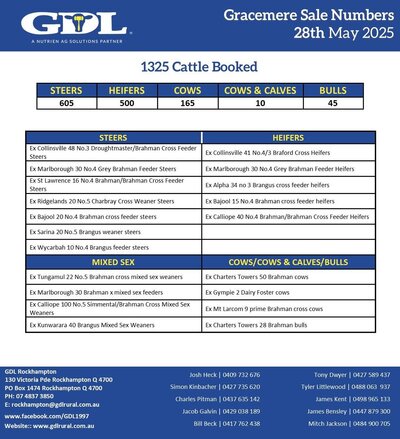 CQLX (Gracemere) Cattle Sale 3.jpg CQLX (Gracemere) Cattle Sale 3.jpg