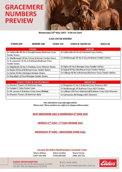 CQLX (Gracemere) Cattle Sale 2.jpg CQLX (Gracemere) Cattle Sale 2.jpg