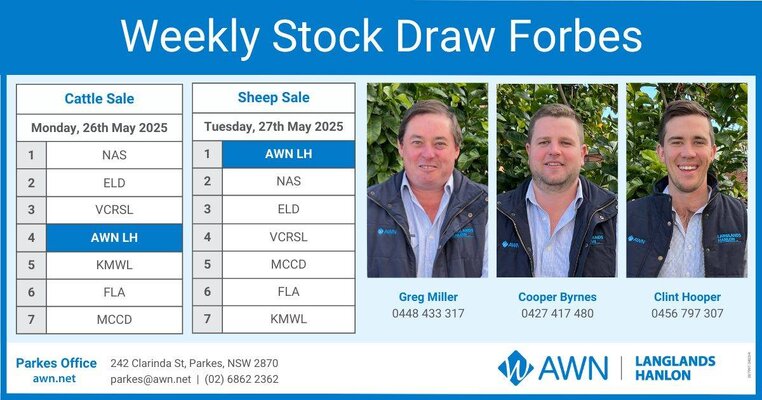 CWLE Forbes Sheep Sale 2.jpg